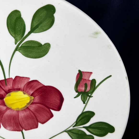 Hand-Painted Ceramic Plates With Floral Design By Southern Potteries Inc. - Picture 3 of 7